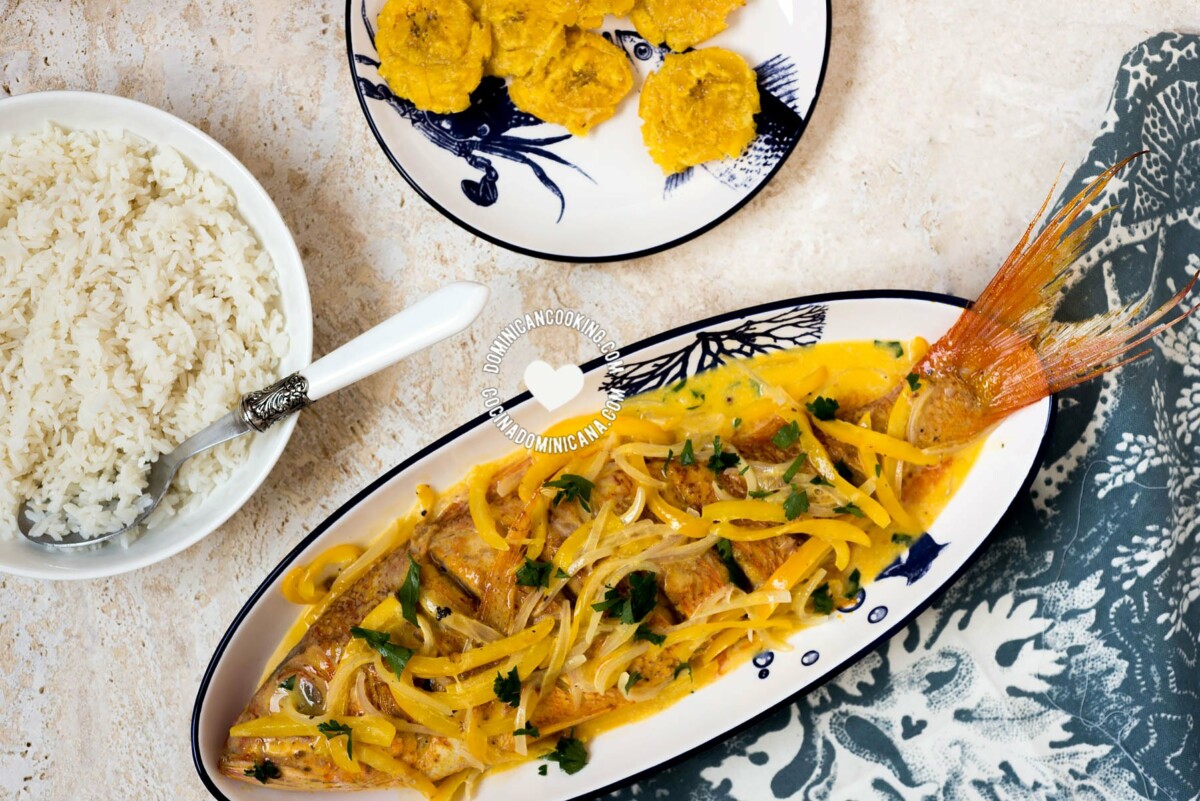 Morbi vitae purus dictum, ultrices tellus in, gravida lectus. 